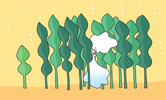 中央财经大学3+2留学报考条件是什么？